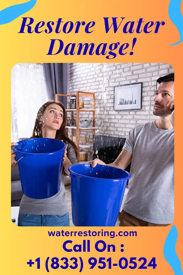 water restoration Golden Damage Recovery Masters Bruceville