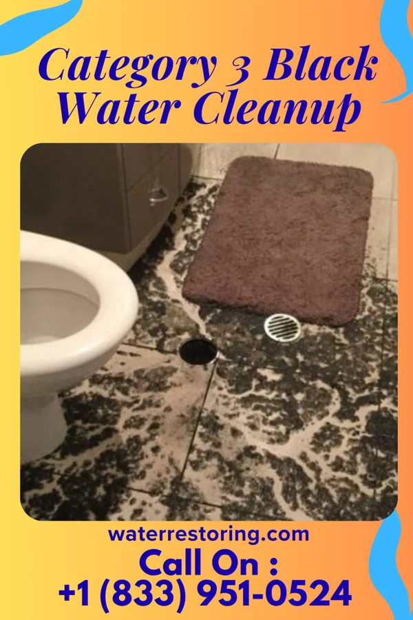 Category 3 Black Water Cleanup in Bruceville, IN