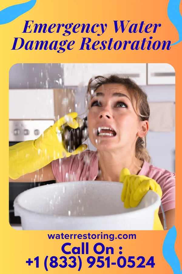 Emergency Water Damage Restoration in Bruceville, IN
