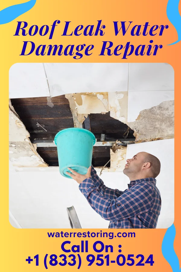 Roof Leak Water Damage Repair in Bruceville, IN
